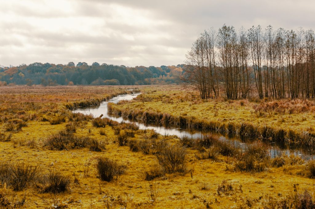 Naturlandskab med bæk – Eidertal-vandrerute, Hof Bissee
