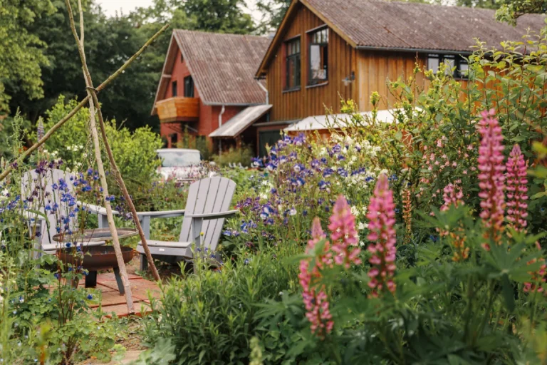 BBQ area Farmhouse: Cottage garden with lupins and garden chairs, Hof Bissee