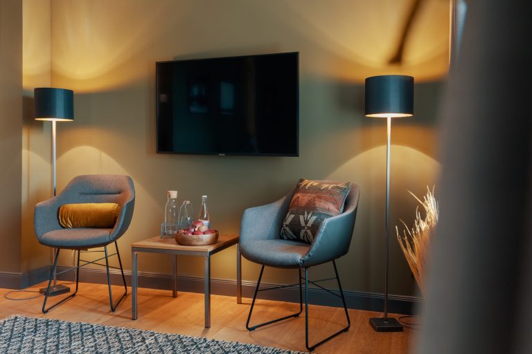 Room No.7: Seating area with two armchairs and TV, Hof Bissee